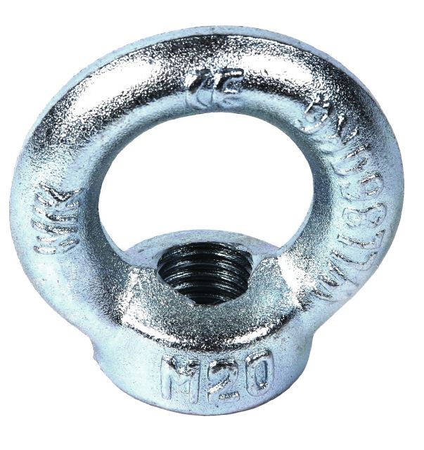 LYFTÖGLA DIN 582 M16 ZN