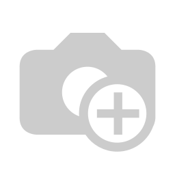 PIKMEJSEL SDS-MAX 300X50