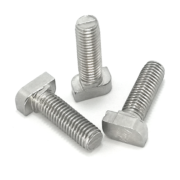 SKEN BULT M10X25 A2
