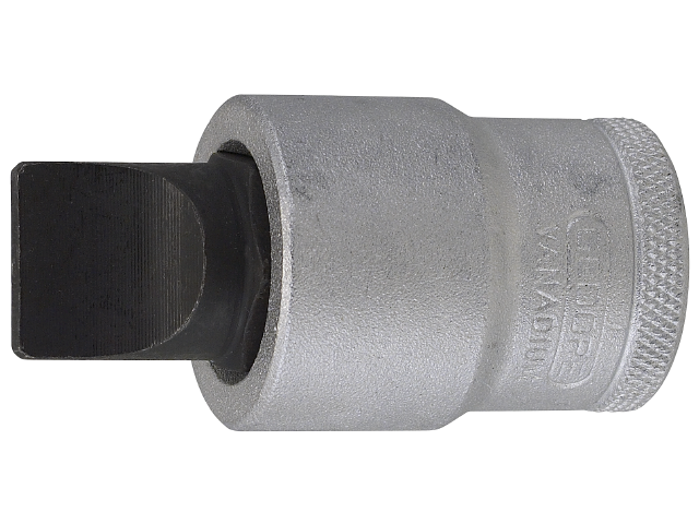 SKRUVMEJSELHYLSA IS-19-10